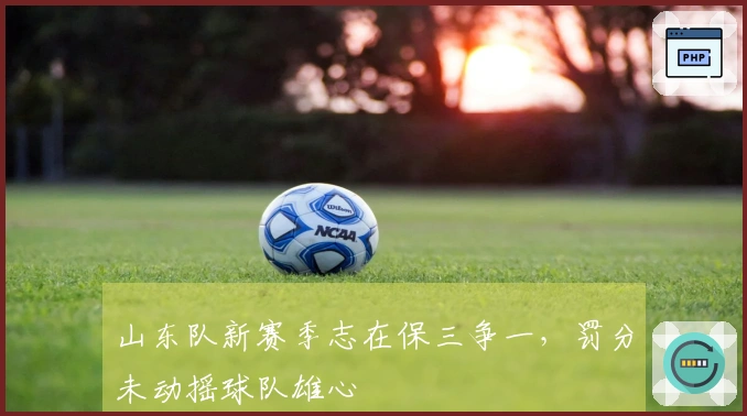 山东队新赛季志在保三争一，罚分未动摇球队雄心