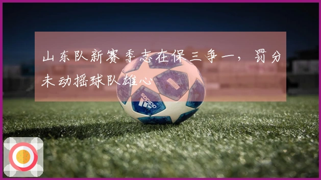 山东队新赛季志在保三争一，罚分未动摇球队雄心